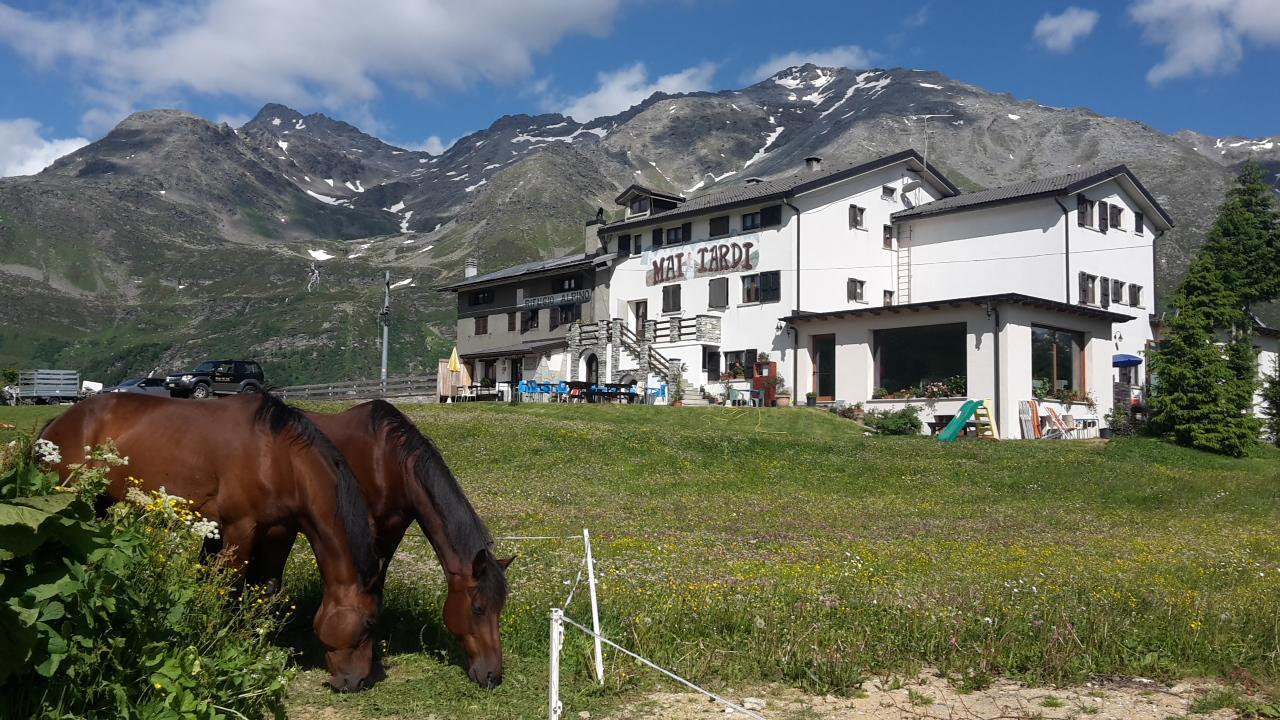 Hotel Rifugio "Mai Tardi" Madesimo Exterior foto